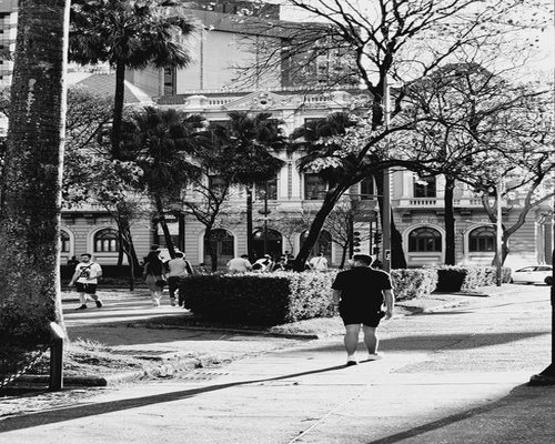 People walking softly in a sunny urban park